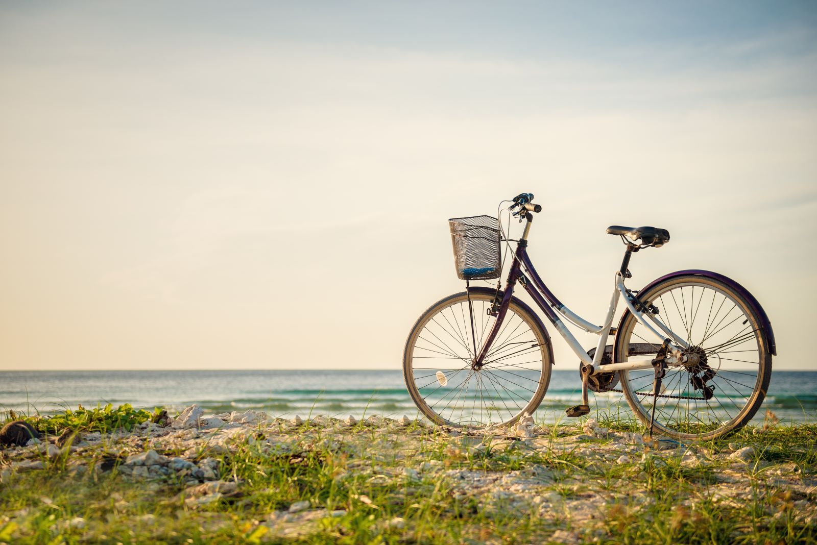 bicycle on a picturesque beach
